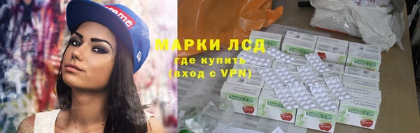 PSILOCYBIN Иннополис