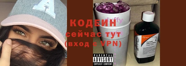гашик Инсар
