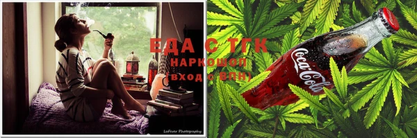 гашик Инсар