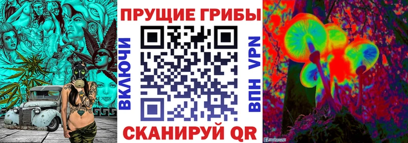 Галлюциногенные грибы Psilocybine cubensis  Купить где  Грайворон 