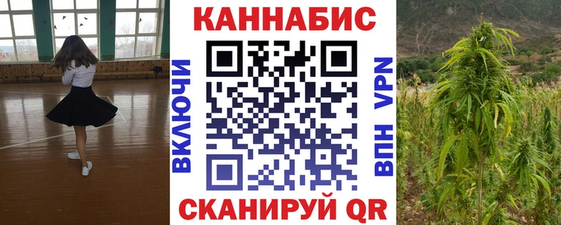 Бошки Шишки планчик  Купить где  Грайворон 